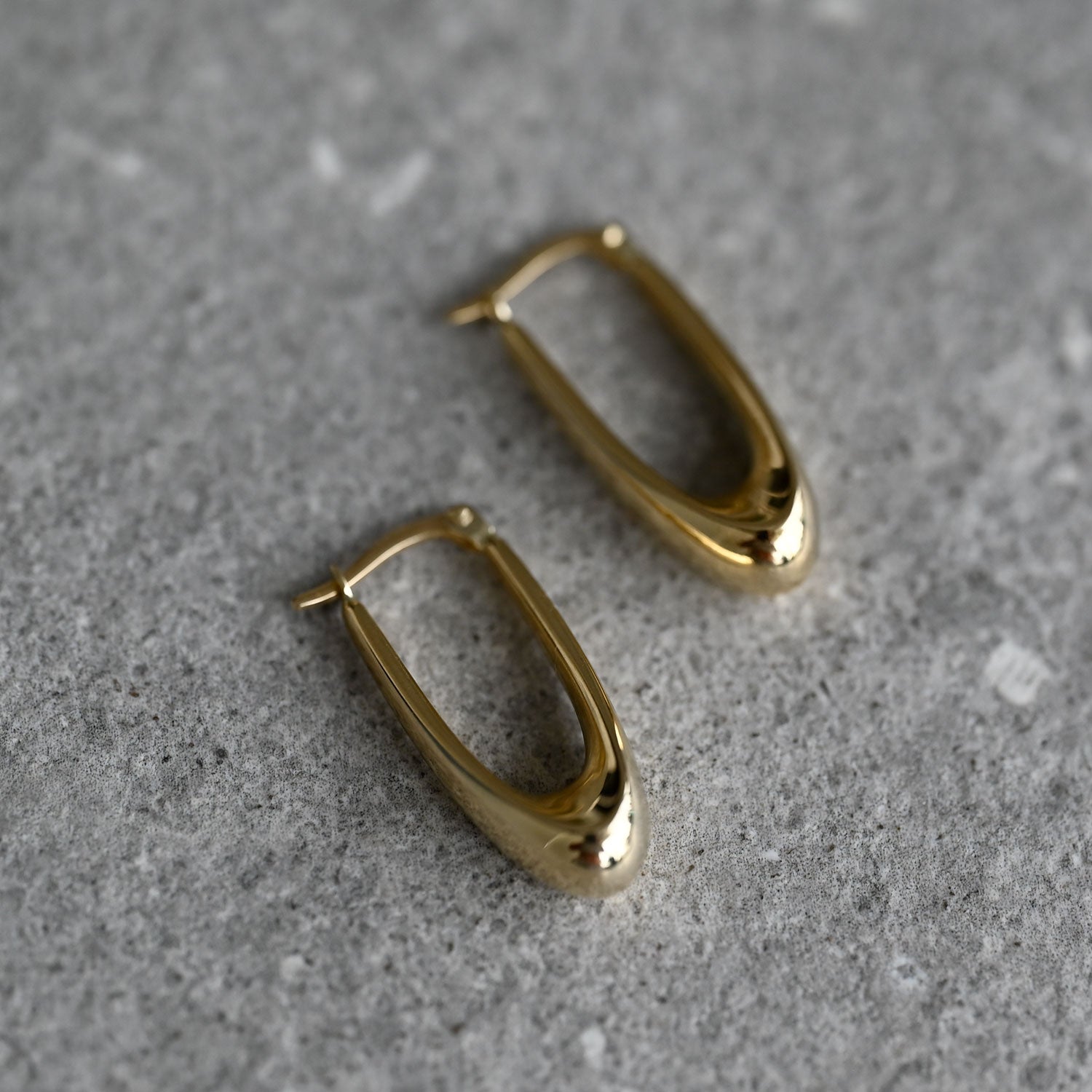 Gold Hoops Earrings