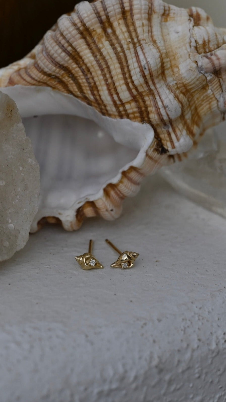 Diamond Conch Shell Studs