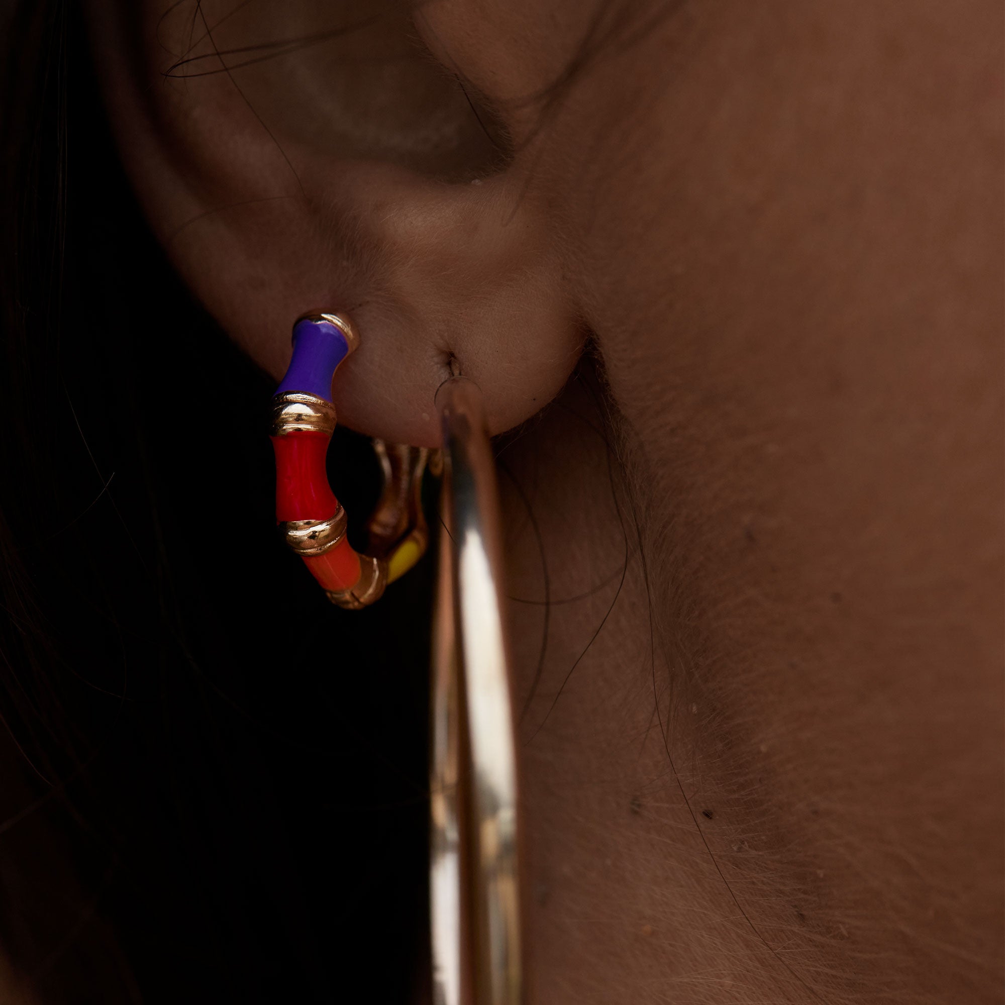 Colours of the Renaissance Hoops