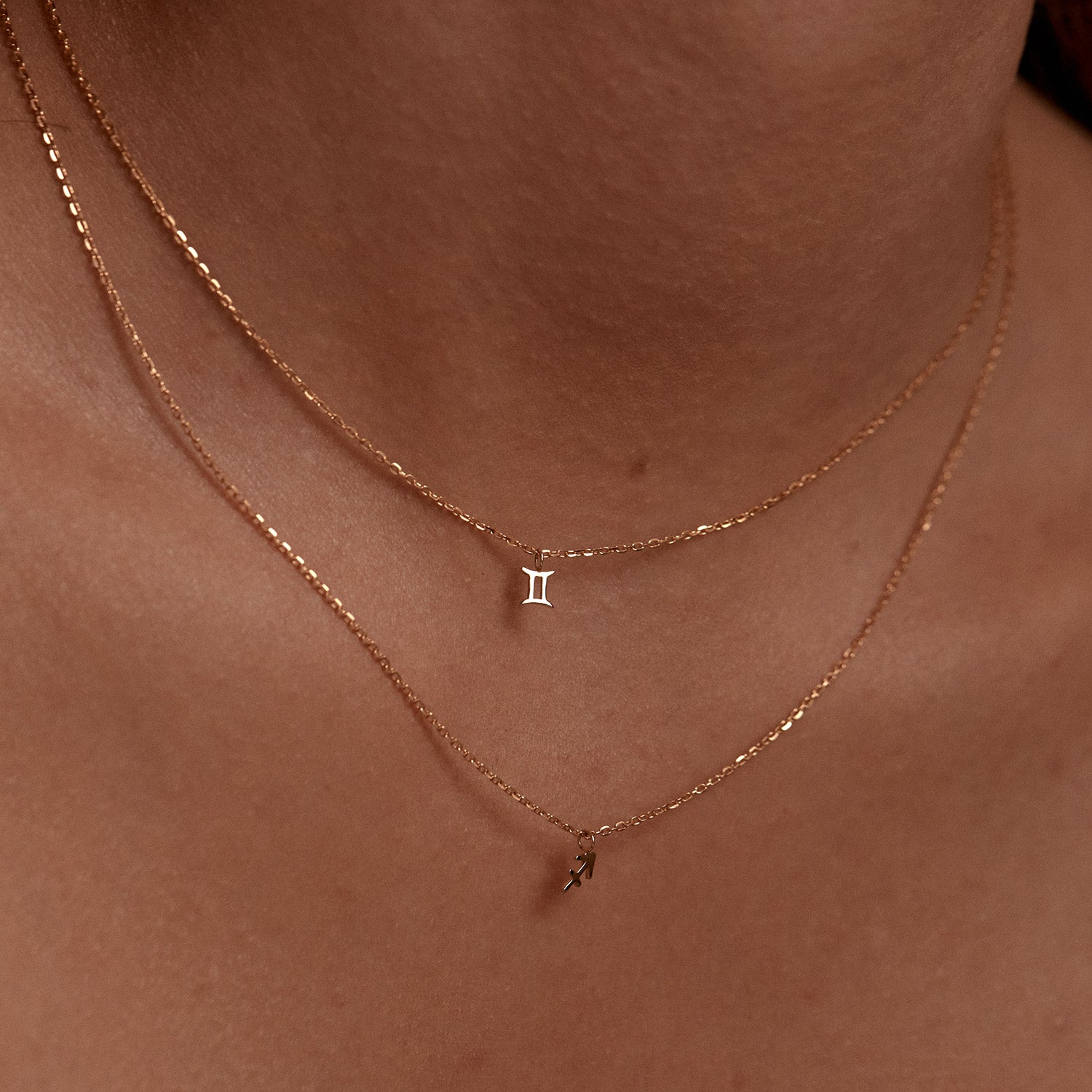 Petite Zodiac Necklace