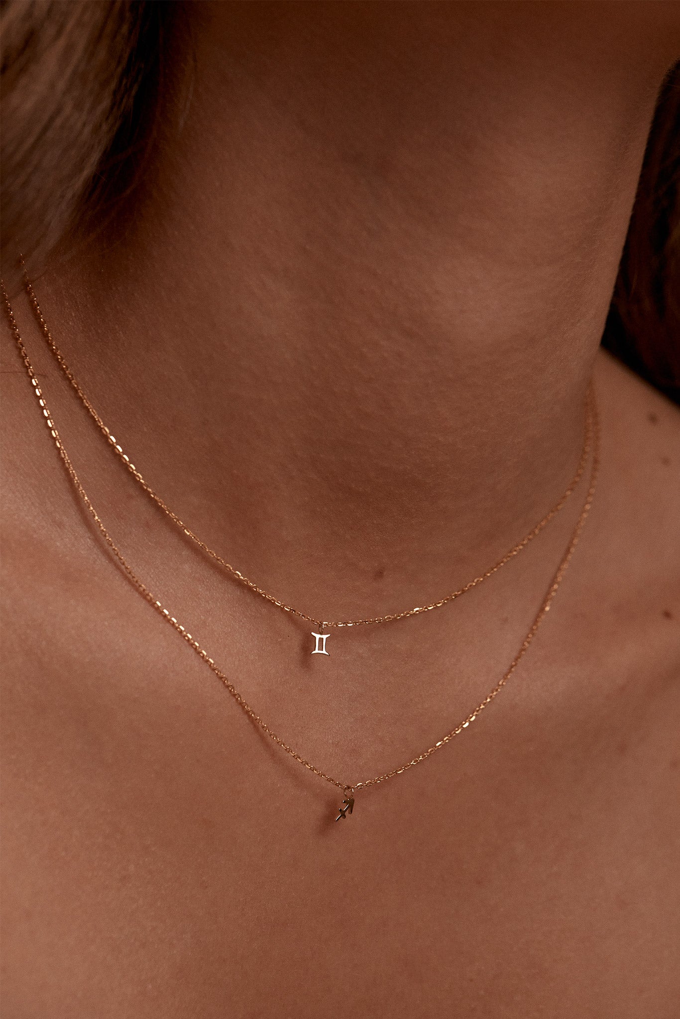 Petite Zodiac Necklace