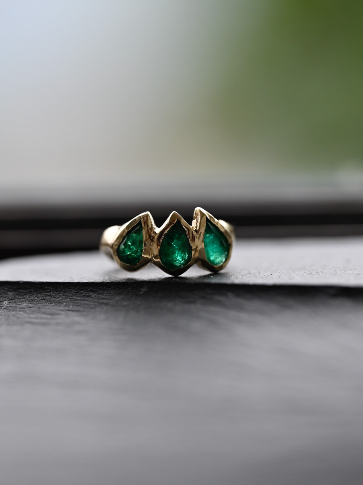 The Eden Ring
