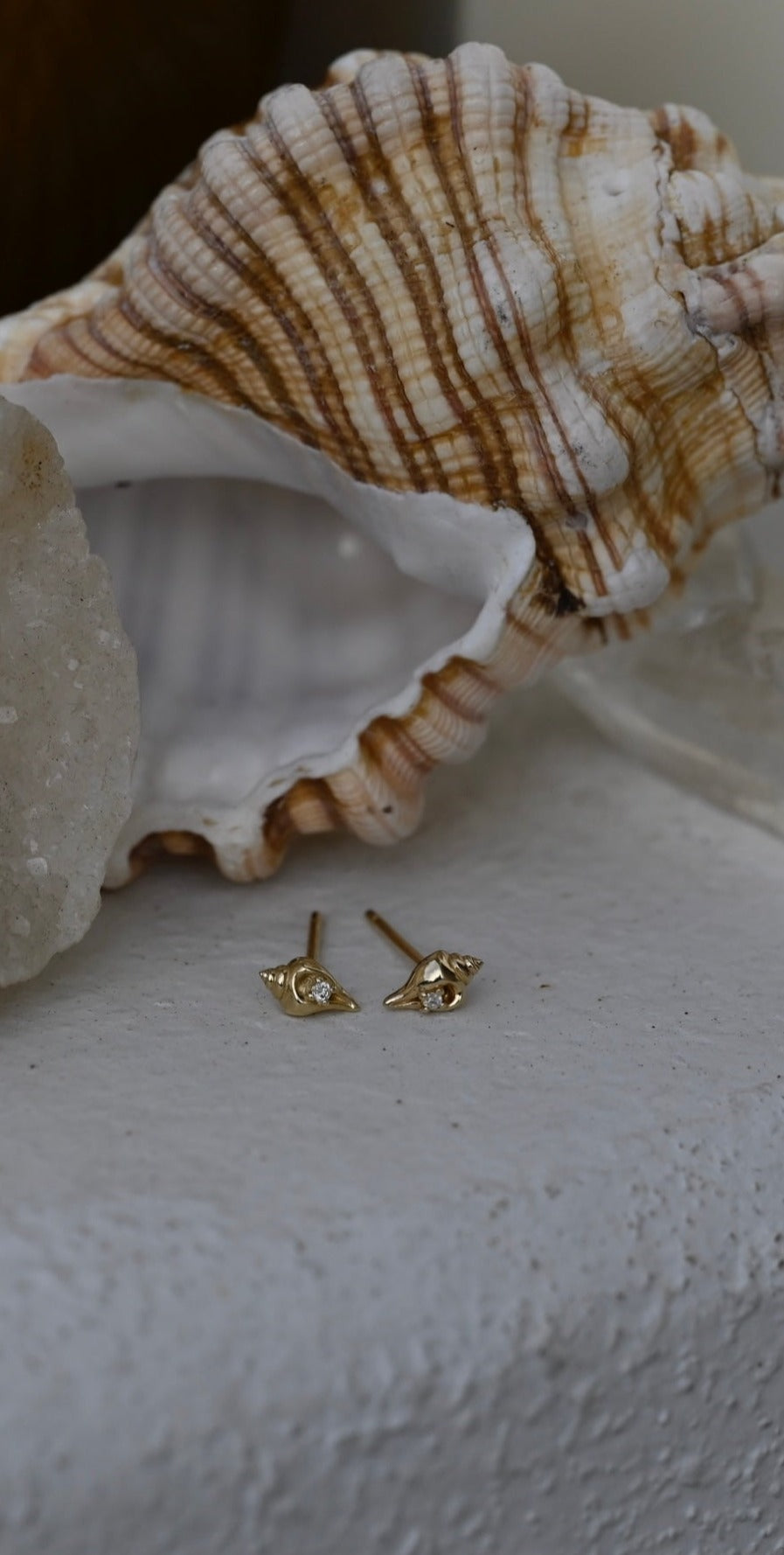 Diamond Conch Shell Studs