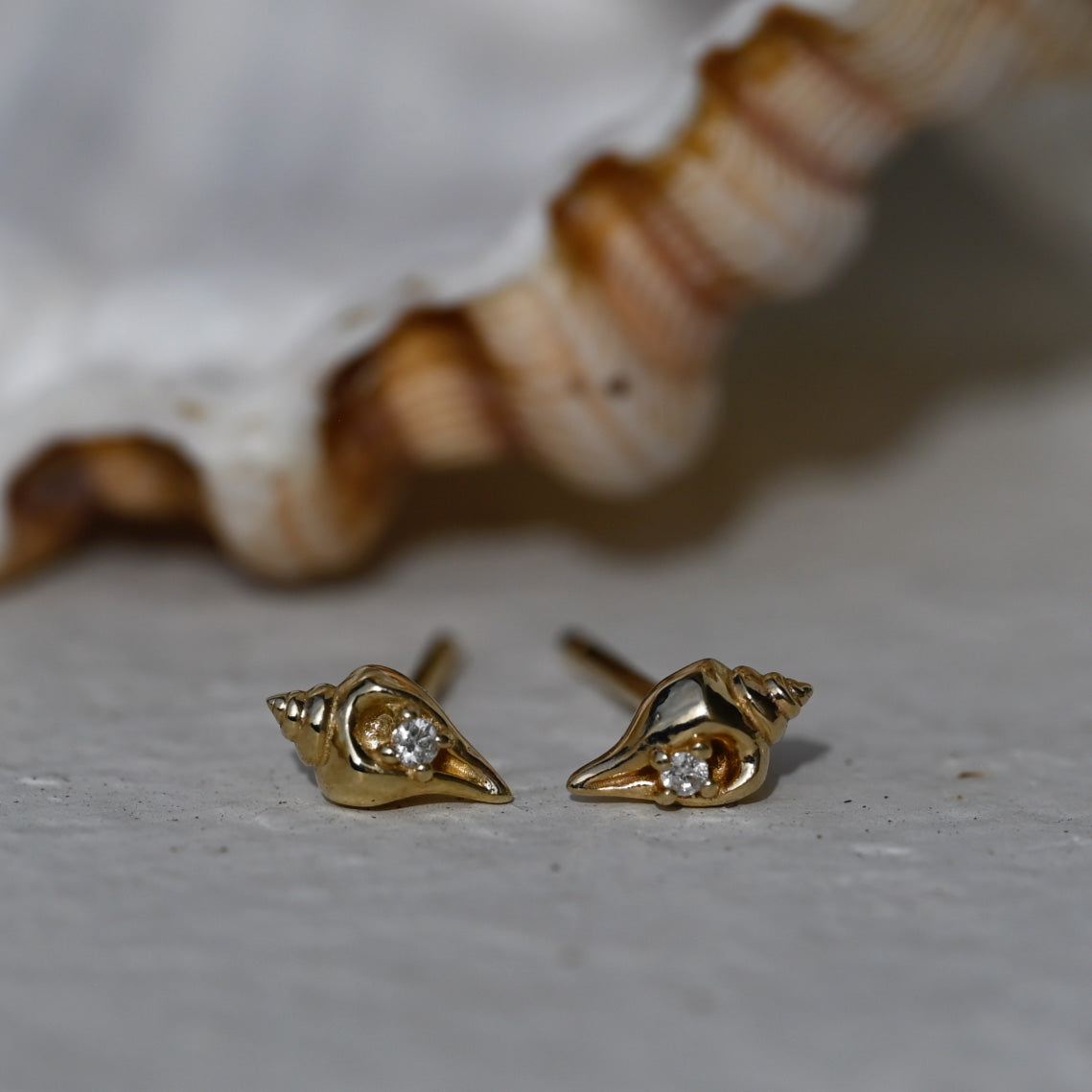 Diamond Conch Shell Studs